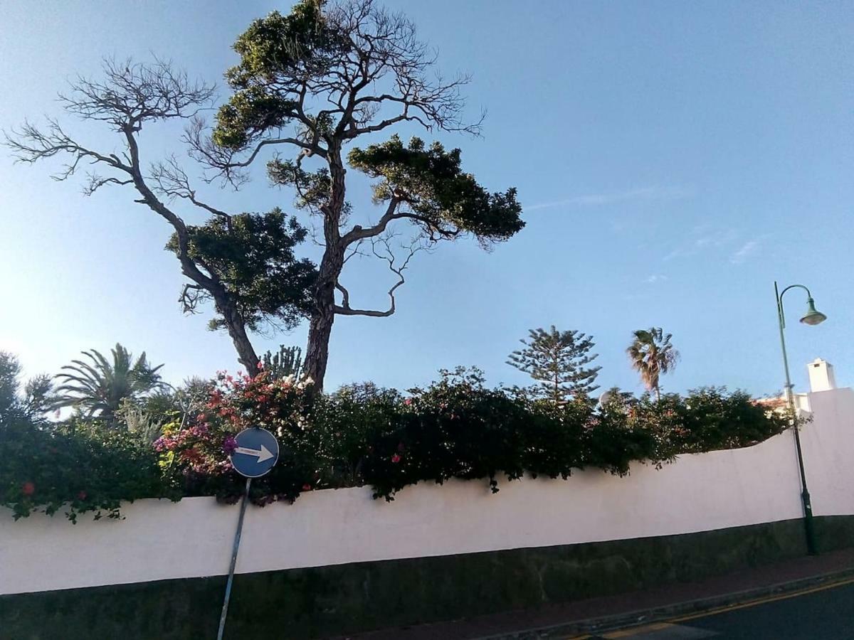 Caniço GardenSea Exterior foto